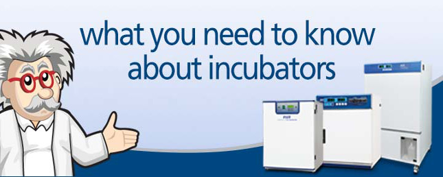 Что вам нужно знать об инкубаторах
