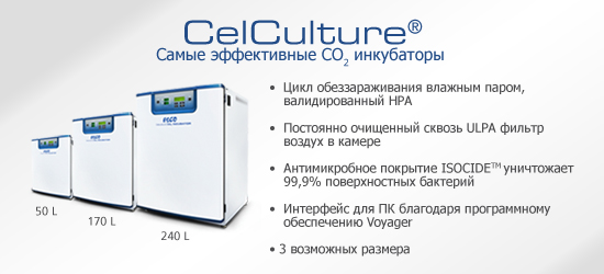 CCL-productslide-global-rus.jpg