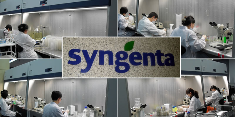 Syngenta China, Biotechnolgy and Genomic Research