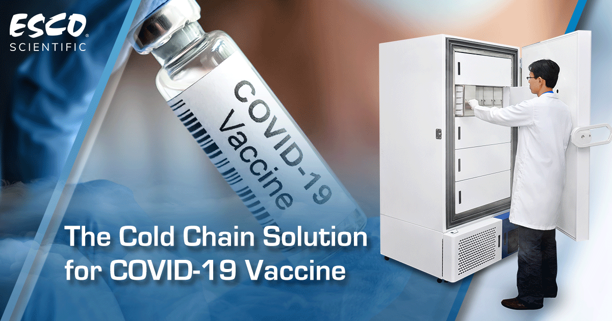 Решения холодовой цепи для вакцины от COVID-19