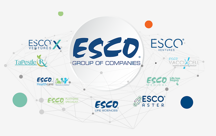 Общая экосистема медико-биологических наук начинается с создания сайта группы компаний Esco