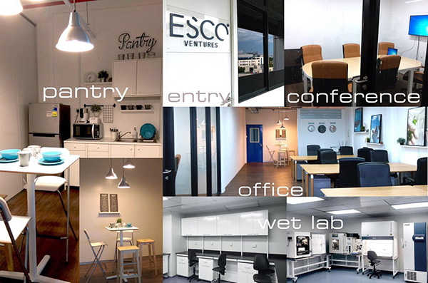 Венчурные лаборатории Esco готовы принять начинающие компании