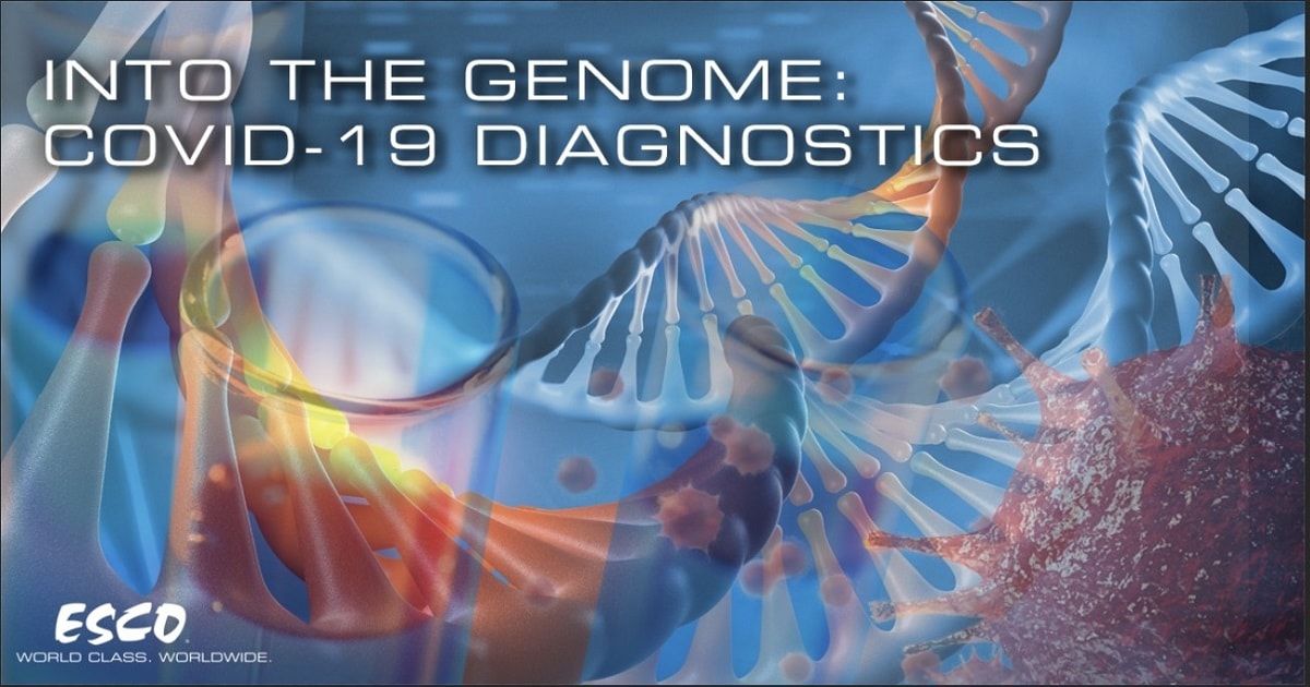 Геном вируса – диагностика COVID-19